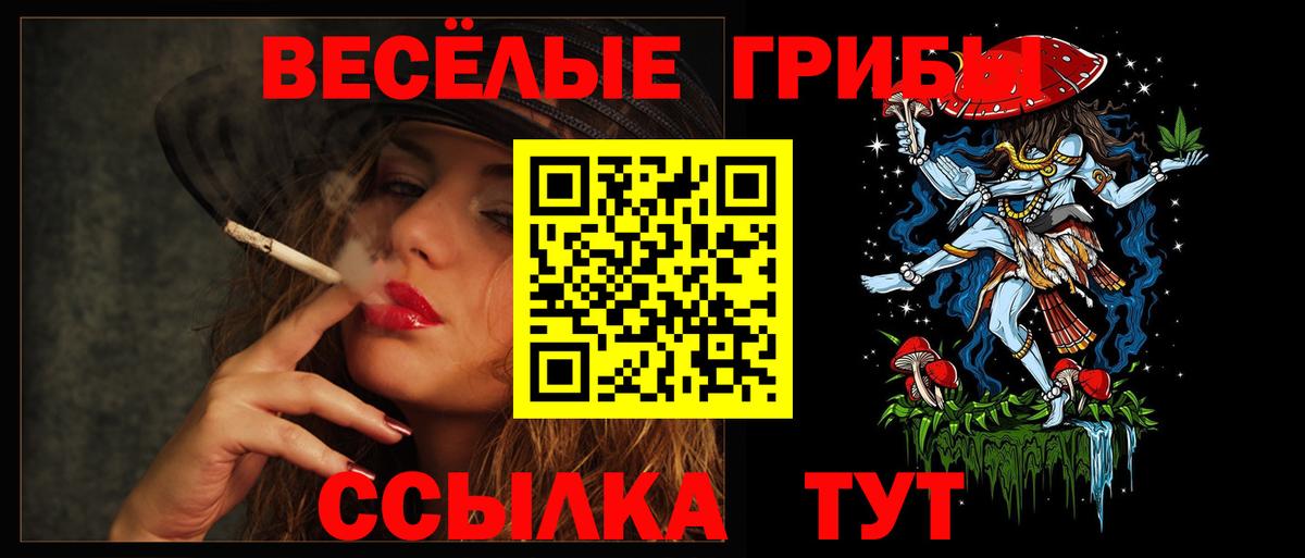 Галлюциногенные грибы GOLDEN TEACHER Кемерово