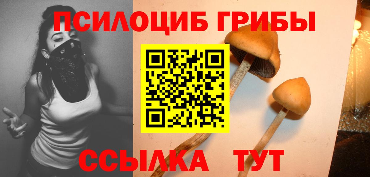 Галлюциногенные грибы GOLDEN TEACHER  Вход с VPN  Кемерово 